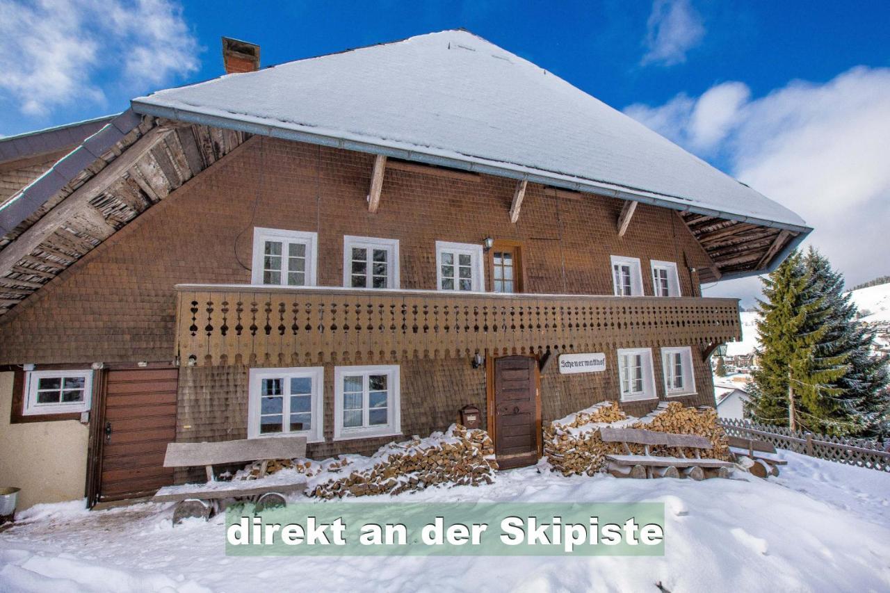 Wohlfuehl-Ferienwohnung 80 Qm, 8 Personen, Aussicht & Heimkino 托特瑙 外观 照片